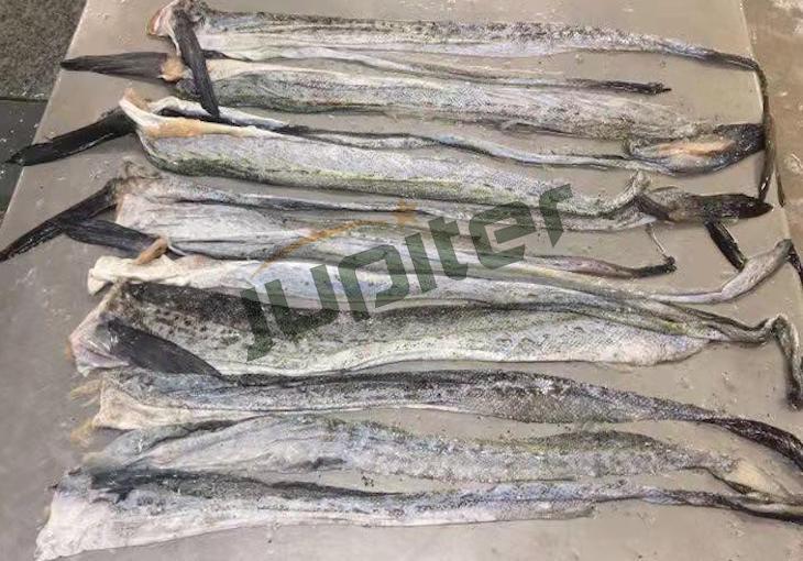 Piel de pescado congelado - Variedad Múltiple